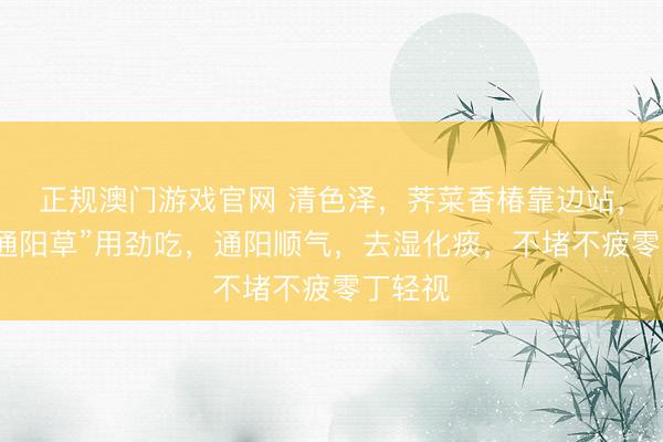 正规澳门游戏官网 清色泽，荠菜香椿靠边站，这个“通阳草”用劲吃，通阳顺气，去湿化痰，不堵不疲零丁轻视