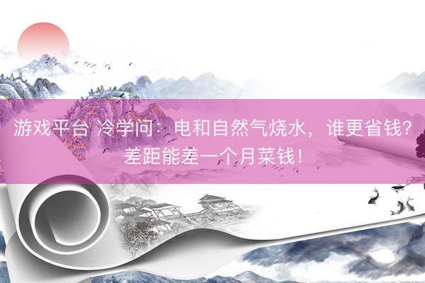 游戏平台 冷学问：电和自然气烧水，谁更省钱？差距能差一个月菜钱！